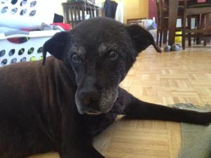 1378636_10152638437220656_1815078161_n